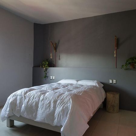 Oaxaca Comala Bed & Breakfast מראה חיצוני תמונה